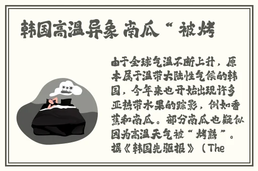 暴躁大妈荒野大镖客
